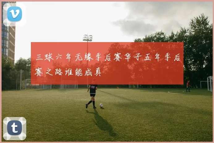 三球六年无缘季后赛华子五年季后赛之路谁能成真