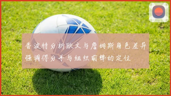 香波特分析欧文与詹姆斯角色差异强调得分手与组织前锋的定位