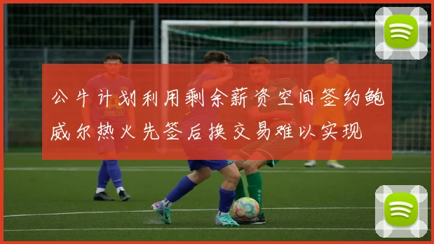 公牛计划利用剩余薪资空间签约鲍威尔热火先签后换交易难以实现